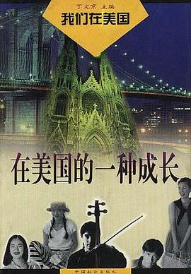 在美国的一种成长 pdf epub mobi 电子书 下载