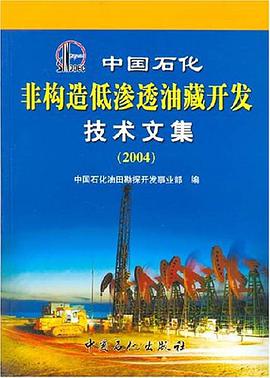 中国石化非构造低渗透油藏开发技术文集 pdf epub mobi 电子书 下载
