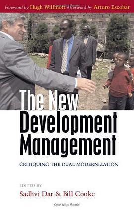 The New Development Management pdf epub mobi 下载