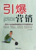 引爆营销 pdf epub mobi 电子书 下载