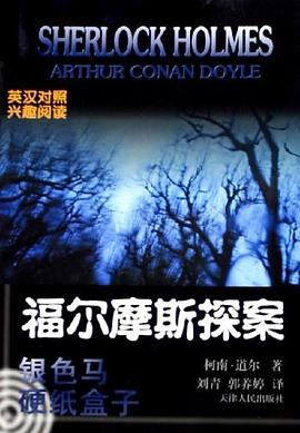 银色马硬纸盒子 pdf epub mobi 电子书 下载