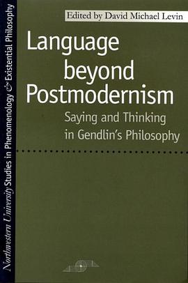 Language Beyond Postmodernism pdf epub mobi 電子書 下載