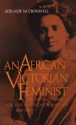 An African Victorian Feminist pdf epub mobi 电子书 下载