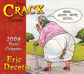 Crack Calendar 2009 Daily Boxed Calendar pdf epub mobi 电子书 下载