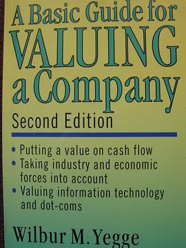 A Basic Guide for Valuing a Company pdf epub mobi 电子书 下载