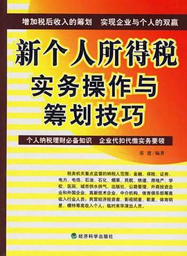 新个人所得税实务操作与筹划技巧 pdf epub mobi 电子书 下载
