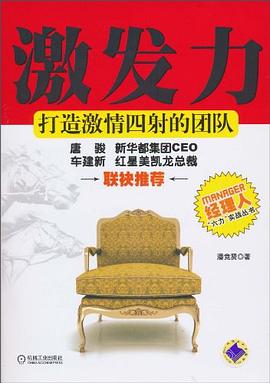 激发力 pdf epub mobi 下载