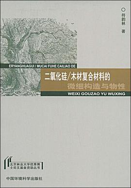 二氧化硅/木材复合材料的微细构造与物性 pdf epub mobi 电子书 下载