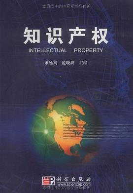 知识产权 pdf epub mobi 下载