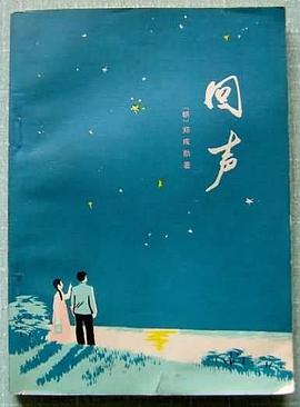 回声 pdf epub mobi 电子书 下载