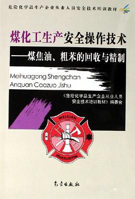 煤化工生产安全操作技术 pdf epub mobi 电子书 下载