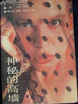 神秘的高墙 pdf epub mobi 电子书 下载