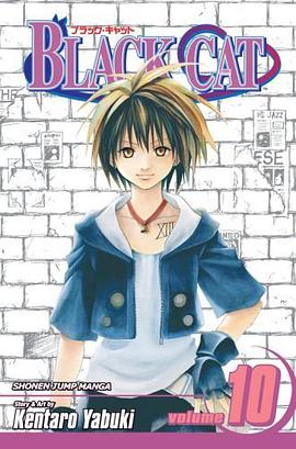Black Cat Vol.10 (Black Cat (Graphic Novels)) pdf epub mobi 电子书 下载