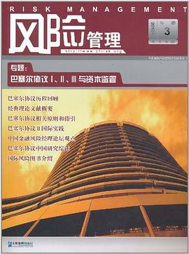 风险管理（第8辑） pdf epub mobi 电子书 下载