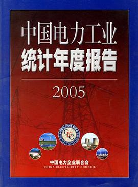 中國電力工業統計年度報告2005