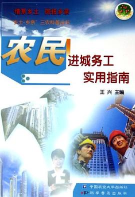 农民进城务工实用指南 pdf epub mobi 电子书 下载