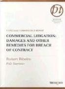 Commercial Litigation pdf epub mobi 电子书 下载
