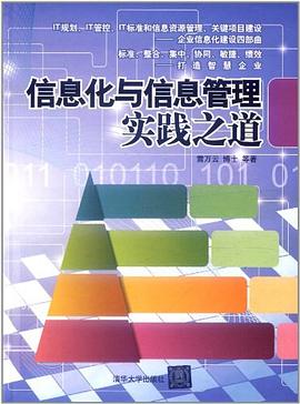 信息化与信息管理实践之道 pdf epub mobi 电子书 下载