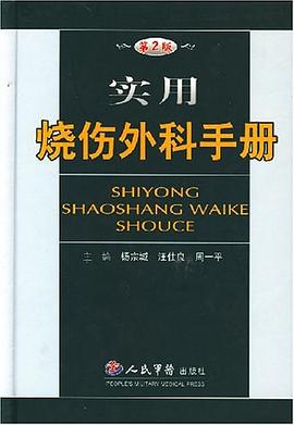 实用烧伤外科手册 pdf epub mobi 电子书 下载