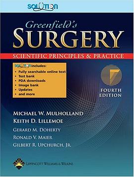 The Greenfield and Mulholland Solution pdf epub mobi 电子书 下载