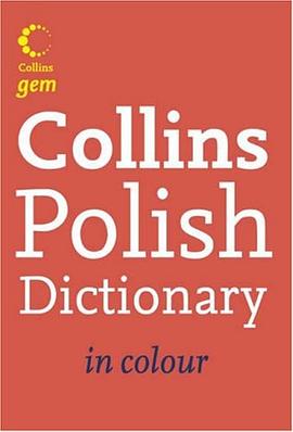 Polish Dictionary pdf epub mobi 下载
