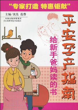 平安孕产指南 pdf epub mobi 电子书 下载