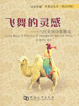 飞舞的灵感 pdf epub mobi 电子书 下载