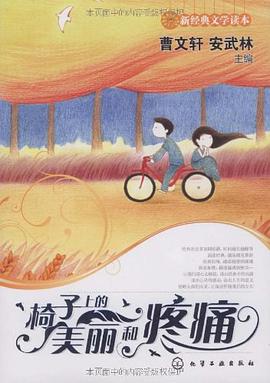 椅子上的美丽和疼痛 pdf epub mobi 电子书 下载