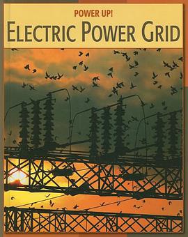 Electric Power Grid pdf epub mobi 下载