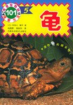 龟 pdf epub mobi 下载