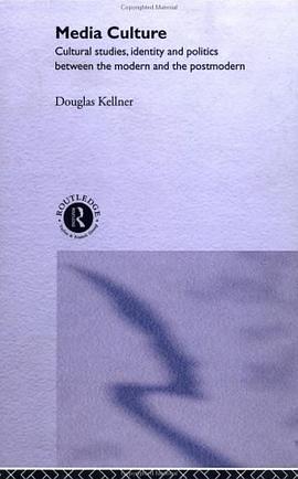 Media Culture pdf epub mobi 电子书 下载