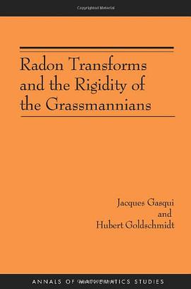Radon Transforms and the Rigidity of the Grassmannians pdf epub mobi 电子书 下载
