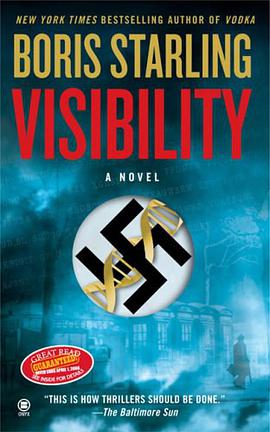 Visibility pdf epub mobi 电子书 下载
