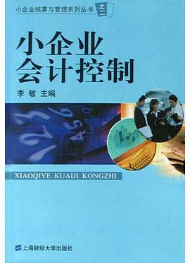 小企业会计控制 pdf epub mobi 电子书 下载