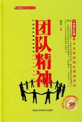团队精神 pdf epub mobi 电子书 下载