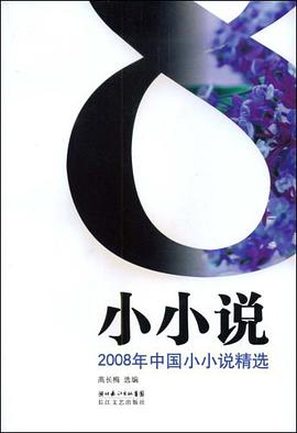 2008年中国小小说精选