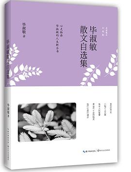 毕淑敏散文自选集 pdf epub mobi 电子书 下载
