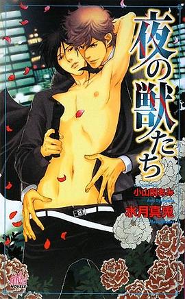 夜の獣たち pdf epub mobi 电子书 下载