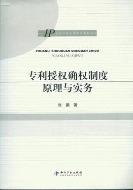 专利授权确权制度原理与实务 pdf epub mobi 电子书 下载