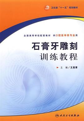 石膏牙雕刻训练教程 pdf epub mobi 电子书 下载