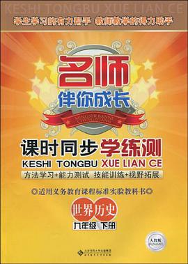 名师伴你成长/课时同步学练测（九年级下册） pdf epub mobi 电子书 下载