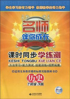 名师伴你成长/课时同步学练测（九年级下册） pdf epub mobi 电子书 下载