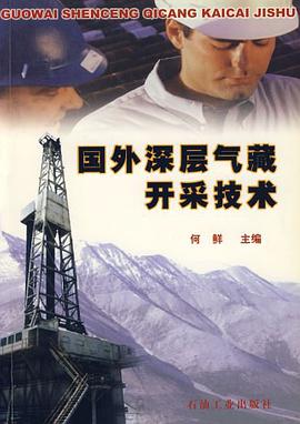 国外深层气藏开采技术 pdf epub mobi 电子书 下载