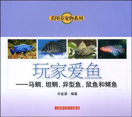 玩家爱鱼 pdf epub mobi 电子书 下载