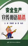安全生产宣传用语精选 pdf epub mobi 电子书 下载
