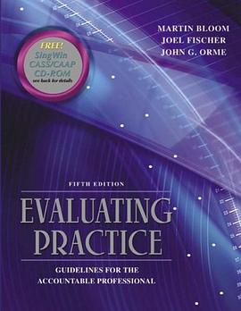 Evaluating Practice pdf epub mobi 电子书 下载