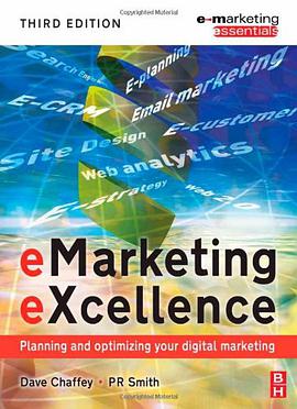 eMarketing eXcellence pdf epub mobi 电子书 下载