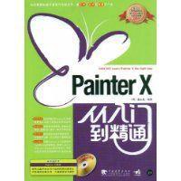 Painter X 从入门到精通 pdf epub mobi 电子书 下载