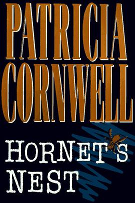 Hornet's Nest (Andy Brazil) pdf epub mobi 电子书 下载