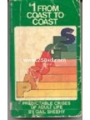 Passages: Predictable Crises of Adult Life pdf epub mobi 电子书 下载